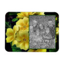 Buscar primaria imanes Para ella