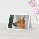 Buscar pinscher miniatura tarjetas Cachorro