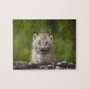 Buscar lince puzzles Fauna