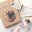 Buscar ganado pegatinas General y unisex