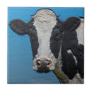 Buscar vaca blanco y negro azulejos Holstein