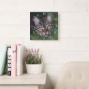 Buscar imagen del gato relojes de pared Para todos