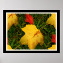 Buscar gotas de lluvia posters Otoño