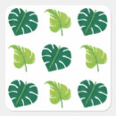 Buscar plantas pegatinas General y unisex