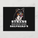Buscar pastores postales Perros lindos