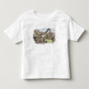 Buscar elefante asiático camisetas Mamífero