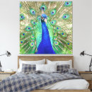 Buscar indios lienzos Naturaleza