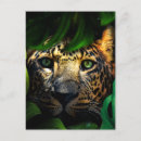 Buscar jaguar postales Jungla