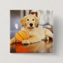 Buscar tirador chapas Cachorro