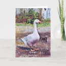 Buscar animales del corral tarjetas General y unisex