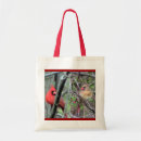 Buscar varón bolsos Cardinal