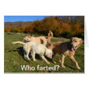 Buscar el farting Olor