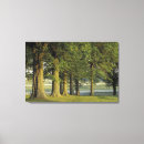 Buscar ambiente lienzos Naturaleza