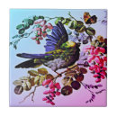Buscar bird azulejos Colorido