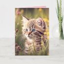 Buscar gatito del tabby tarjetas Tabú