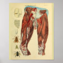 Buscar pierna arte Vintage