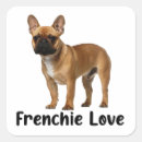 Buscar perro bulldog pegatinas Bulldog francés lindo
