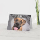 Buscar adopte tarjetas Rescate