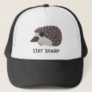 Buscar hedgehog gorras Divertido