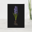 Buscar bulbo tarjetas Flor
