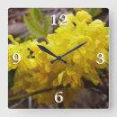 Buscar orégano relojes de pared Naturaleza