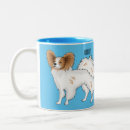 Buscar perro del papillon tazas Para todos