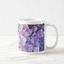 Buscar hydrangea purpura tazas Flores