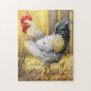 Buscar gallos puzzles Corral