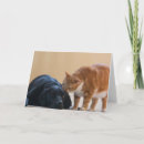 Buscar perros del rescate tarjetas Caridad