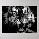 Buscar tigre blanco y negro posters Salvaje