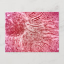 Buscar sexual postales Trabajo artístico