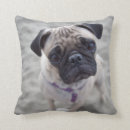 Buscar pug cojines Cachorro