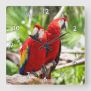 Buscar loros arte Ave