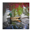 Buscar duck azulejos General y unisex