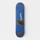 Buscar búho tablas de skate Azul