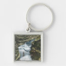 Buscar cañada accesorios Watkins