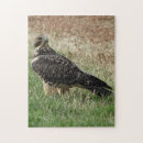 Buscar halcones puzzles General y unisex