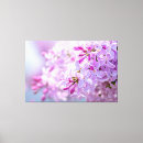 Buscar rosa y gris lienzos Flor