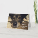Buscar que adaptable tarjetas Perro