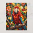 Buscar loro rojo postales Guacamayo