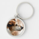 Buscar jack russell terrier llaveros Perro