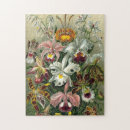Buscar orquídea tropical puzzles Orquídeas