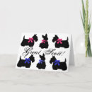 Buscar scottish terrier tarjetas Escocés