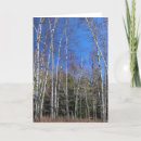 Buscar península superior tarjetas Michigan