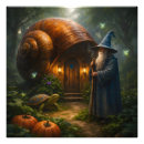 Buscar del caracol arte General y unisex