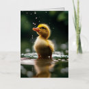 Buscar pato silvestre tarjetas Contenido generativo