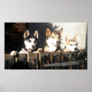 Buscar esquimales posters Perros