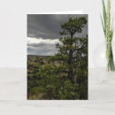 Buscar tempestuoso fotografía Naturaleza