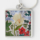 Buscar hiedra llaveros Holly