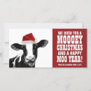 Buscar dairy cow postales Lechera
